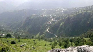 Buner