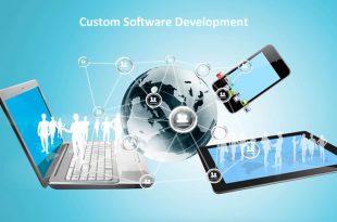 Custom Software Development