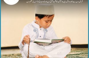 best online quran classes